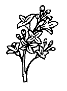 Headstone Floral Design 1034