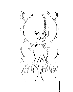 Headstone Fun Design 887