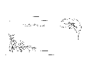 Headstone Seasons Cherished Design 3119