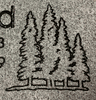 Sandblasted Pine Tree Design Sandblasted Pine Tree Design