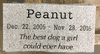 Pet Grave Marker 