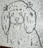 Poodle Design Poodle Design