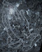 Praying Hands Engraved in Blue Peal Granite