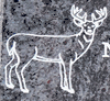 Remarkable Deer Design 297