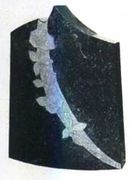TF-A32  Upright Memorial Headstone With Carved Flowers