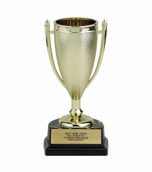 06-1/2 INCH PLASTIC TROPHY CUP