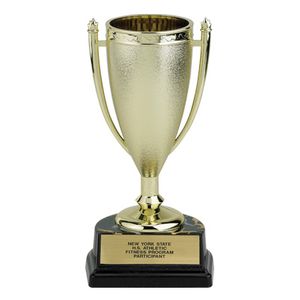 06-1/2 INCH PLASTIC TROPHY CUP