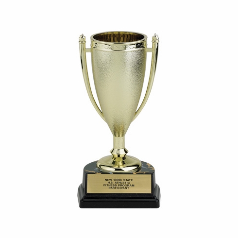 06-1/2 INCH PLASTIC TROPHY CUP