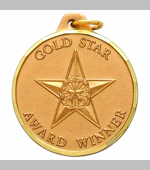 1-1/4 Inch Gold Star Award Winner Medal in Gold