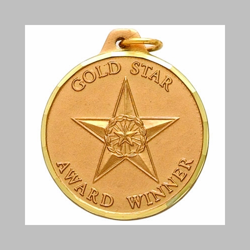 1-1/4 Inch Gold Star Award Winner Medal in Gold