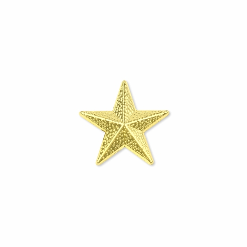 1/2 INCH GOLD STAR CHENILLE PIN 