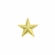 1/2 INCH GOLD STAR CHENILLE PIN 