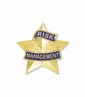 1-3/16 Inch 3D Risk Management Star Lapel Pin