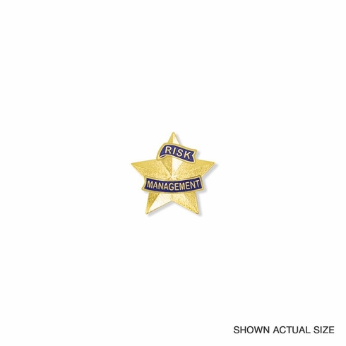 1-3/16 INCH 3D RISK MANAGEMENT STAR LAPEL PIN