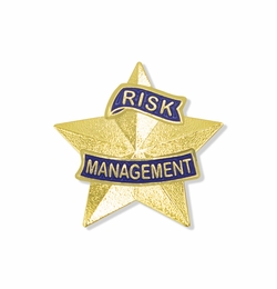 1-3/16 INCH 3D RISK MANAGEMENT STAR LAPEL PIN
