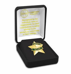 1-3/16 Inch 3D Safety Risk Management Star Lapel Pin