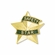 1-3/16 INCH 3D SAFETY STAR LAPEL PIN