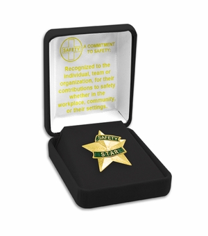 1-3/16 Inch 3D Safety Risk Management Star Lapel Pin