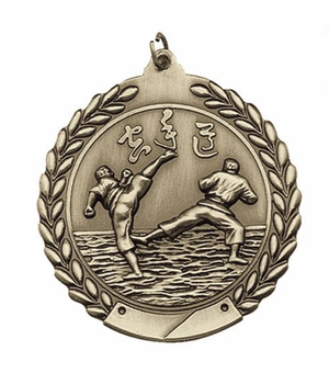 1-3/4 Inch 3D Karate Medal in Brass, Silver, or Bronze with Customizable Back