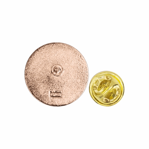 1 Inch "Bronze Star Award Winner" with Star Enameled Lapel Pin