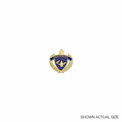 1 INCH GOLD "STEM HONORS" WITH LAMP OF LEARNING AND WREATHS ENAMELED LAPEL PIN