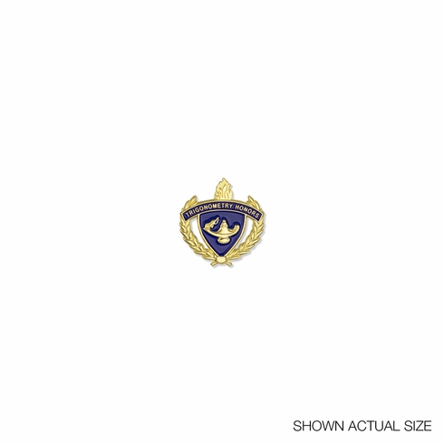 1 INCH GOLD "TRIGONOMETRY HONORS" WITH LAMP OF LEARNING AND WREATHS ENAMELED LAPEL PIN