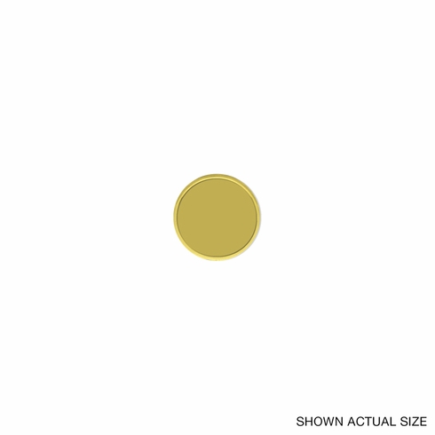 1 INCH ROUND DIE STRUCK GOLD LAPEL PIN WITH PIN BAR BACKING-HOLDS 7/8 INCH INSERT