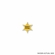 1 INCH SAFETY PATROL STAR LAPEL PIN
