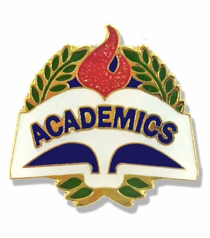1 X 1 INCH ACADEMICS LAPEL PIN