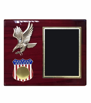 10-1/2 X 13 INCH EAGLE AND AMERICAN SHIELD PLAQUE HOLDS 2 INCH MILITARY INSERT