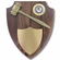 11 x 13 INCH DEPARTMENT OF JUSTICE GAVEL PLAQUE SHIELD WITH DOJ MEDALLION