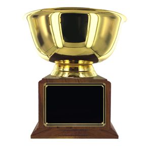 12 INCH DIAMETER GOLD BOWL TROPHY