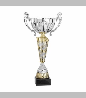 13-1/2 Inch Silver and Gold European Style Trophy Cup