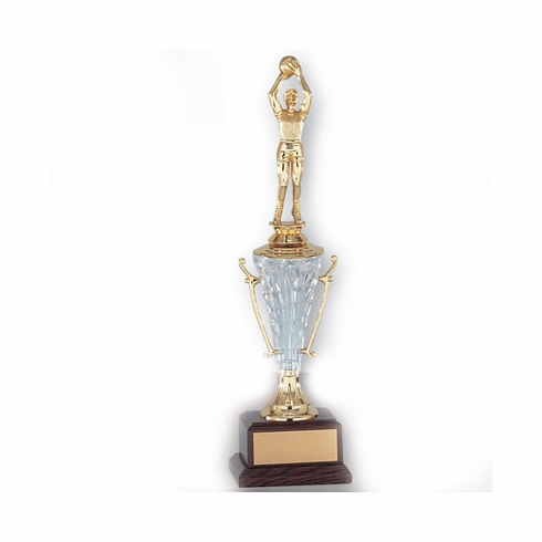 13-1/2 INCH TROPHY WITH CLEAR ACRYLIC CUP TAKES FIGURE