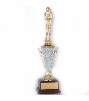 13-1/2 INCH TROPHY WITH CLEAR ACRYLIC CUP TAKES FIGURE