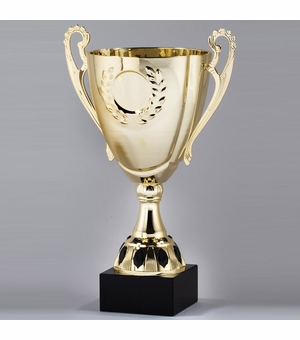 15 INCH GOLD METAL TROPHY CUP WITH 2 INCH INSERT OPTION