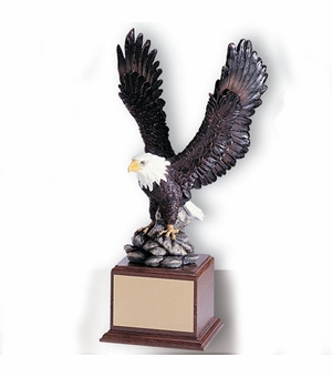 17 INCH EAGLE TROPHY,  HAND PAINTED