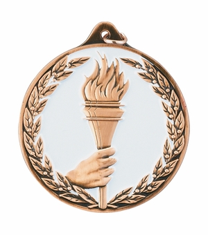 2-1/2 Inch Enameled Die-Cast Achievement Medal in Bronze