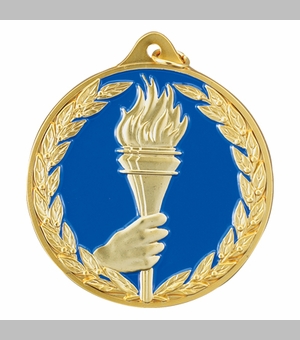 2-1/2 Inch Enameled Die-Cast Achievement Medal in Gold