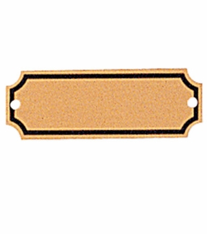 2-1/2 X 7/8 Inch Screened Brass Plate