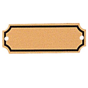 2-1/2 X 7/8 SCREENED PLATE