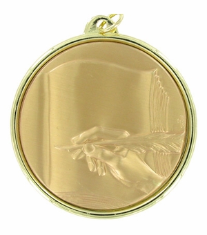2-1/4 INCH LITERATURE MEDAL, MULTIPLE COLORS