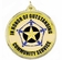 2-1/4 Inch in Diameter Round Community Service Medal with Mylar Detailing and Customizable Back