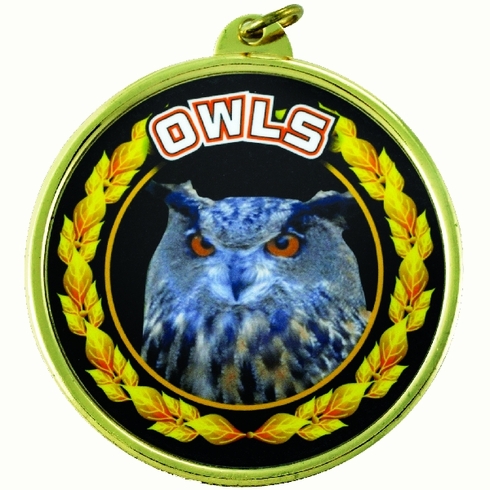 2-1/4 Inch in Diameter Round 'Owls' Themed Gold and Mylar Sports Medal with Customizable Back