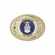 2-3/4 x 3-5/8 INCH GOLD OVAL DIE CAST BELT BUCKLE WITH 2 INCH UNITED STATES AIR FORCE INSERT