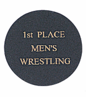 2 Inch in Diameter Black Aluminum Disc