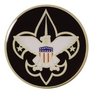 2-Inch in Diameter Round Metal Mylar-Epoxy Boy Scouts Peel-and-Stick Insert