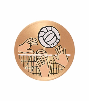 2 Inch in Diameter Round Metal Litho-Print Volleyball Medallion Insert