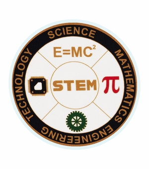 2 Inch in Diameter Round Stem Insert with Mylar Detailing