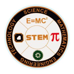 2 Inch in Diameter Round Stem Insert with Mylar Detailing